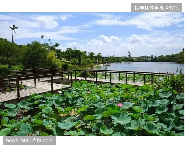 为何成熟版权方的文旅打包计划仍面临用户转化孤岛困境